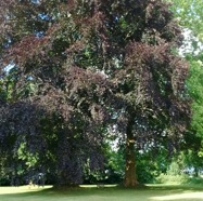 IMG_20160618_212231.jpg